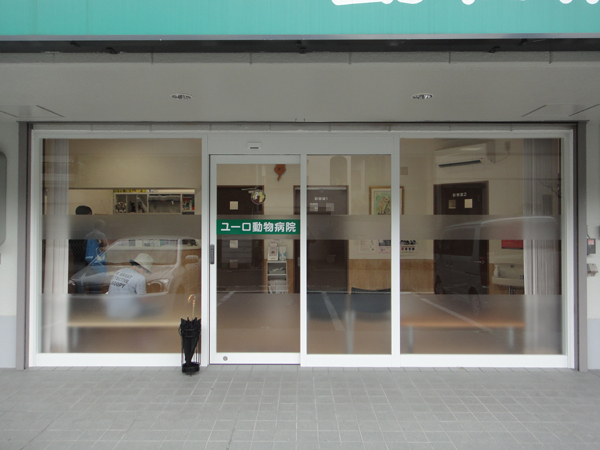 ����K���X���t�B����